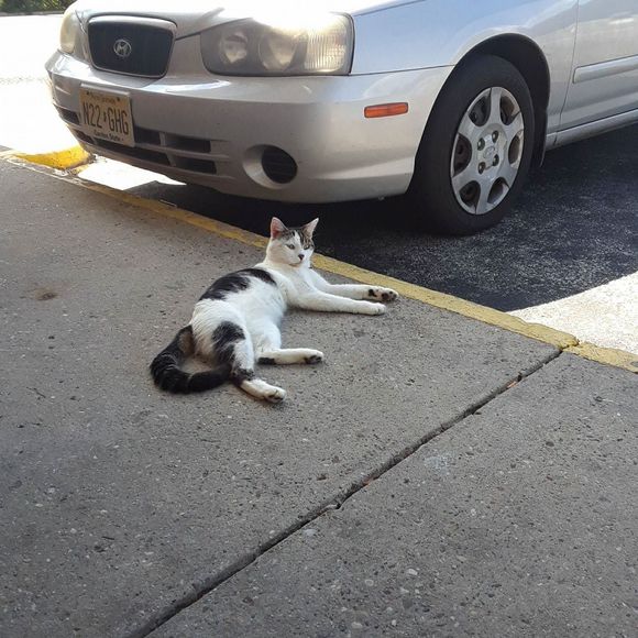 Meet your Posher, Sherry - Picture 1 of 1